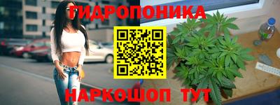 гидропоника Ипатово