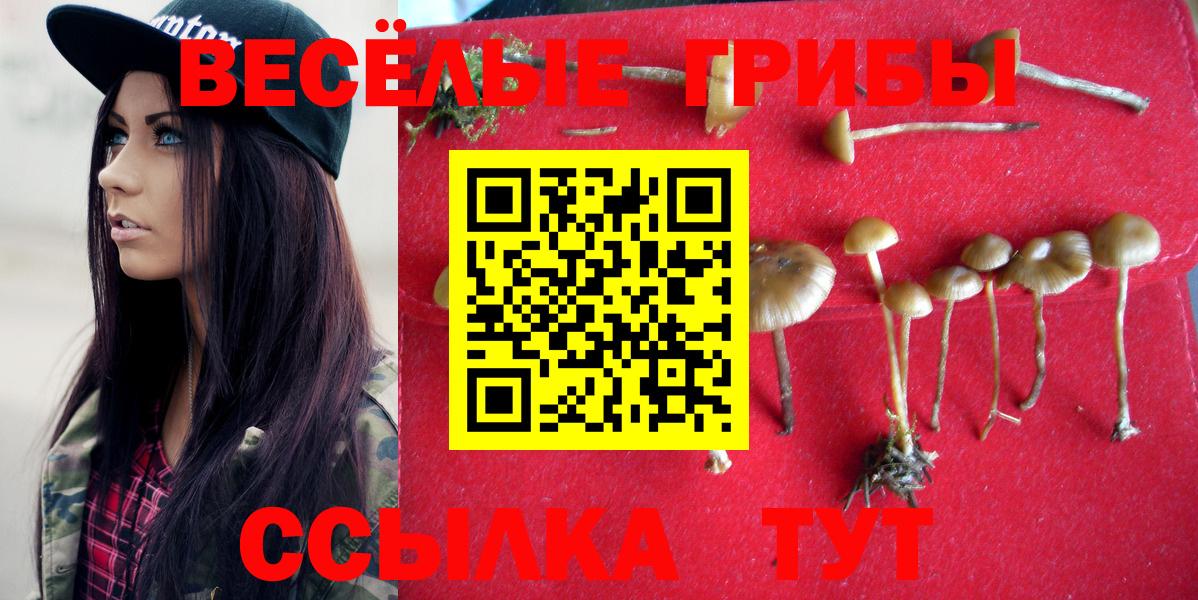 Галлюциногенные грибы GOLDEN TEACHER Южноуральск