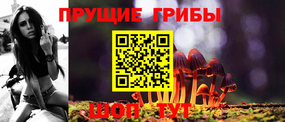 Южноуральск  Галлюциногенные грибы Psilocybine cubensis  Псилоцибиновые грибы мицелий  Вход с VPN 